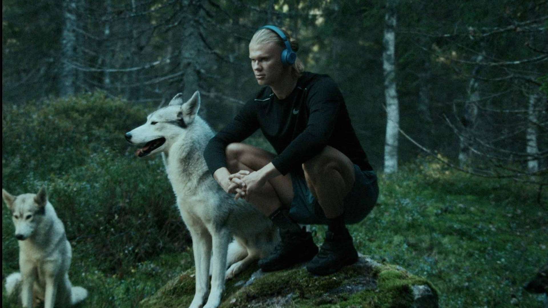 上的新合作 上的新合作